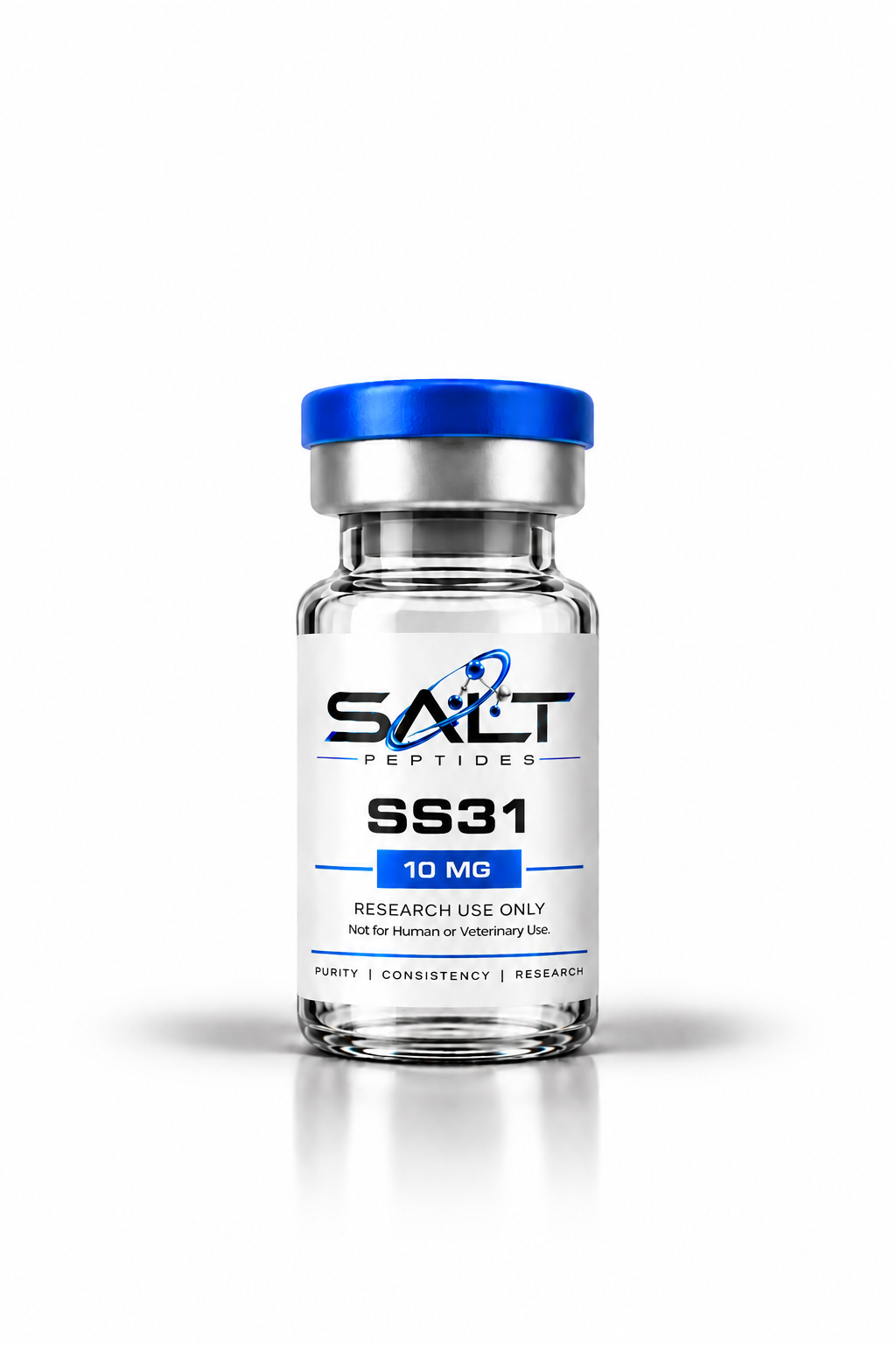 SS31